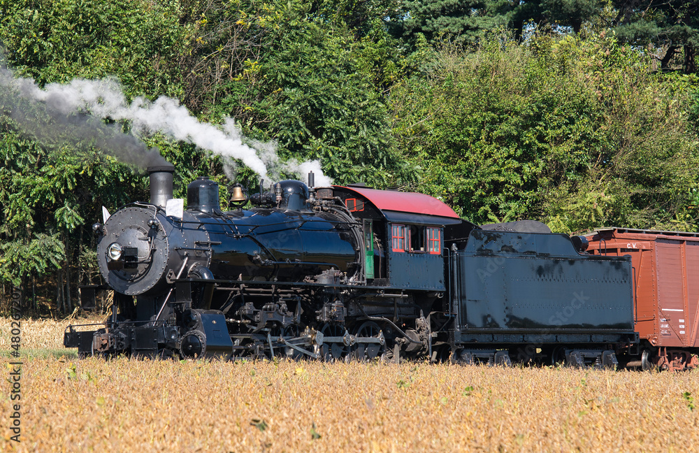 Fototapeta premium Restored Antique Steam Freight Train Passing Blowing Smoke and Lots of Steam
