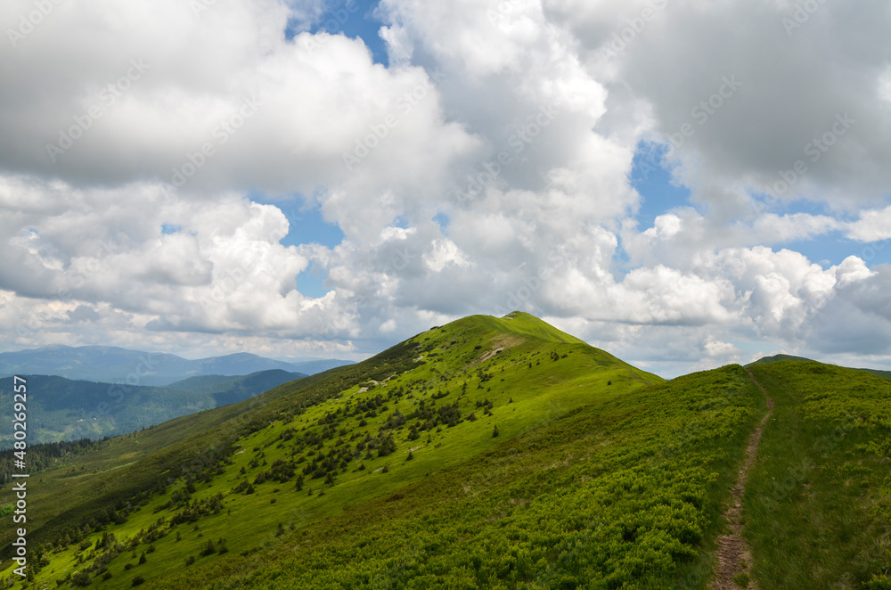 Hiking trail through a green grassy mountain range with steep slopes under a cloudy sky on a summer day. Leisure and travel. Carpathians, Ukraine