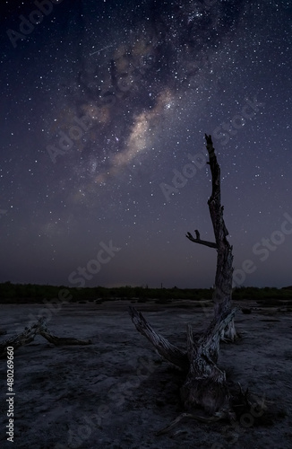 Fotografía nocturna en laguna Mar chiquita, Córdoba, Argentina © pedro