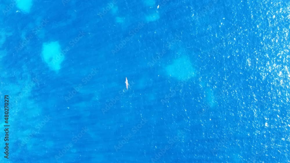 Canoe in the tropical sea Canoe in the tropical sea