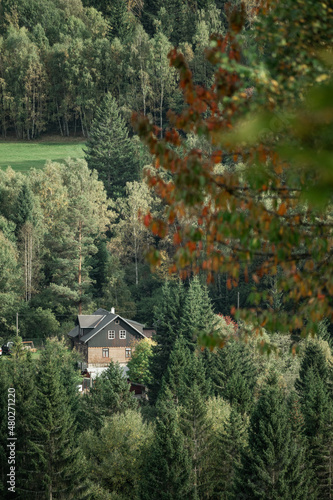 Cabin on the hill between trees, Sumava national park, Czech republic © Kristyna_Mladkova