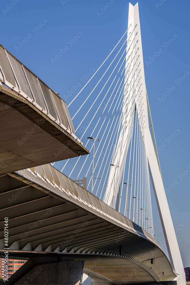 Naklejka premium Erasmus bridge