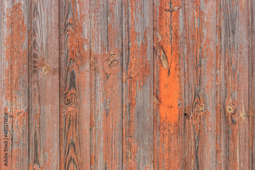 Orange and brown peeling paint with old worn wooden texture of the background fence weathered boards