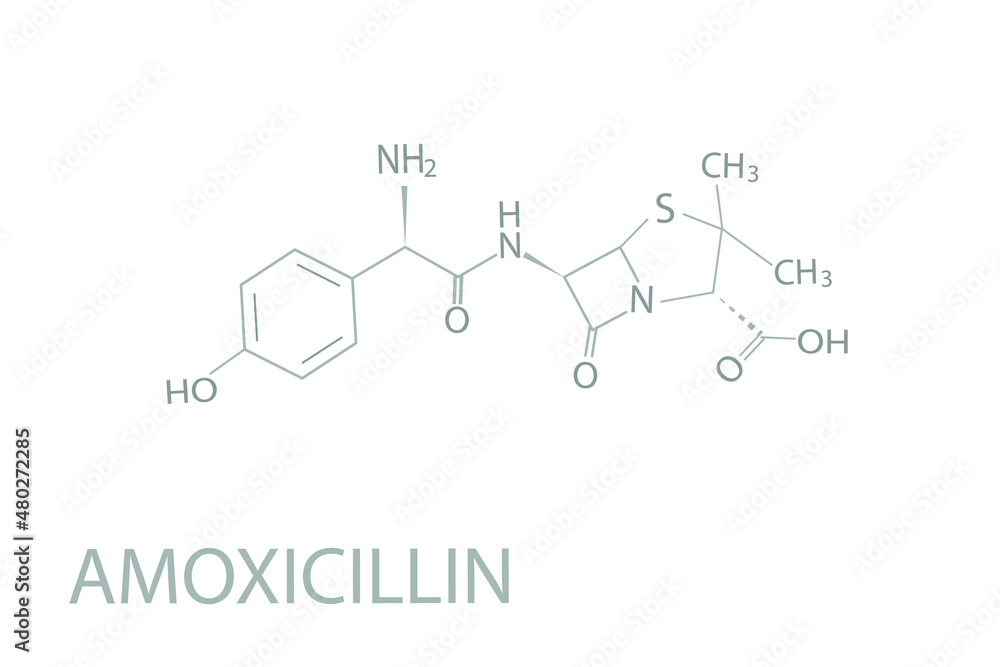 Amoxicillin molecular skeletal chemical formula. Amoxicillin molecular skeletal chemical formula.