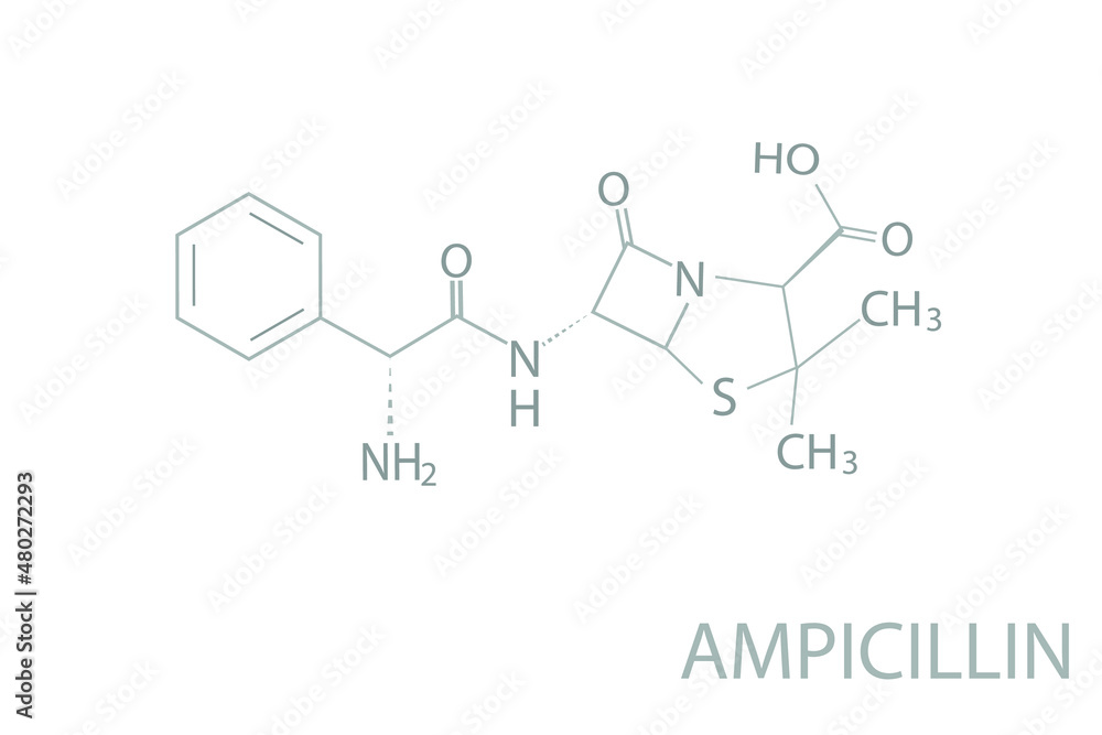 Ampicillin molecular skeletal chemical formula. Ampicillin molecular skeletal chemical formula.