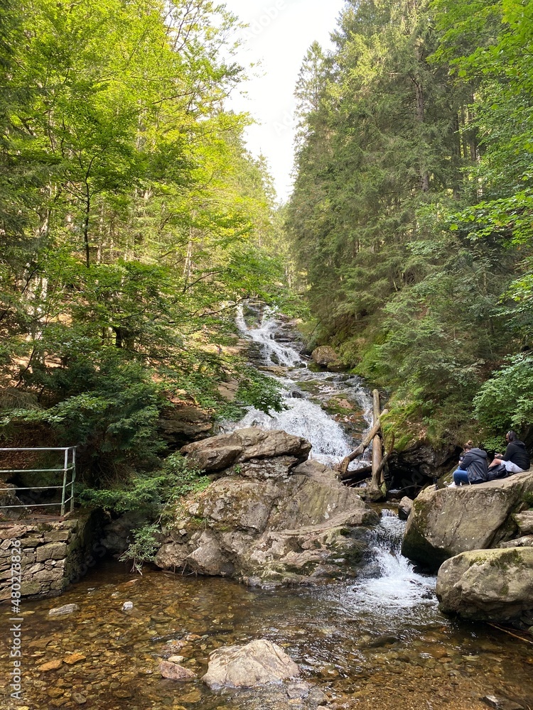waterfall in the forest waterfall in the forest