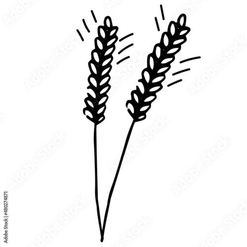 Doodle set with wheat in one line style
