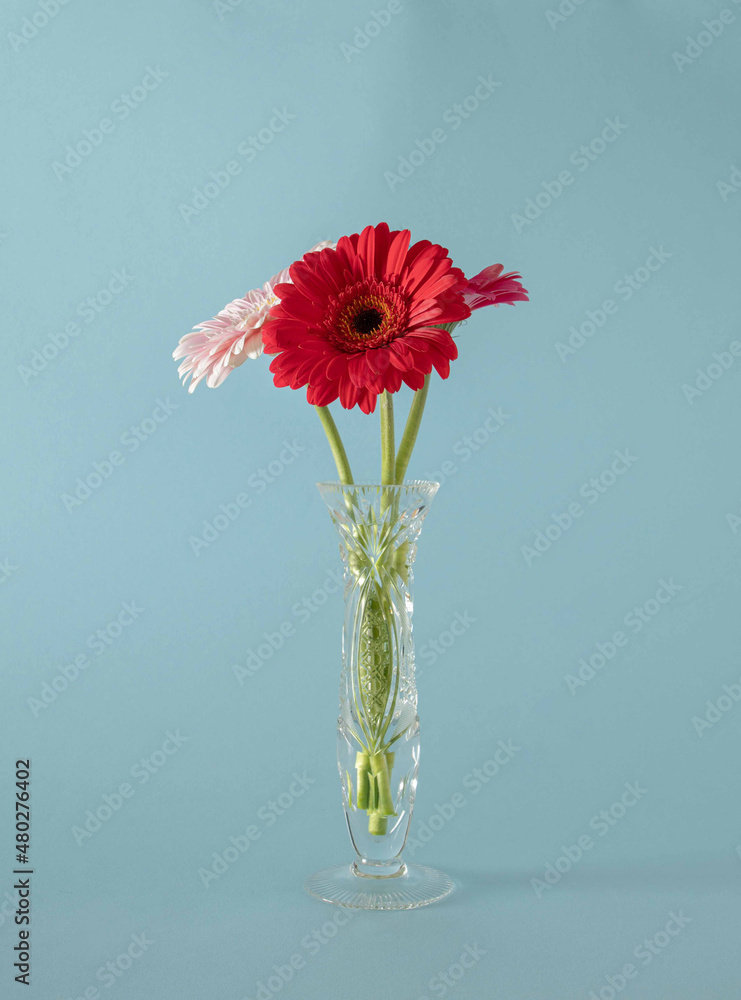 jungle colorful flowers in the vase on the table against blue pastel background. adorable creative decoration idea