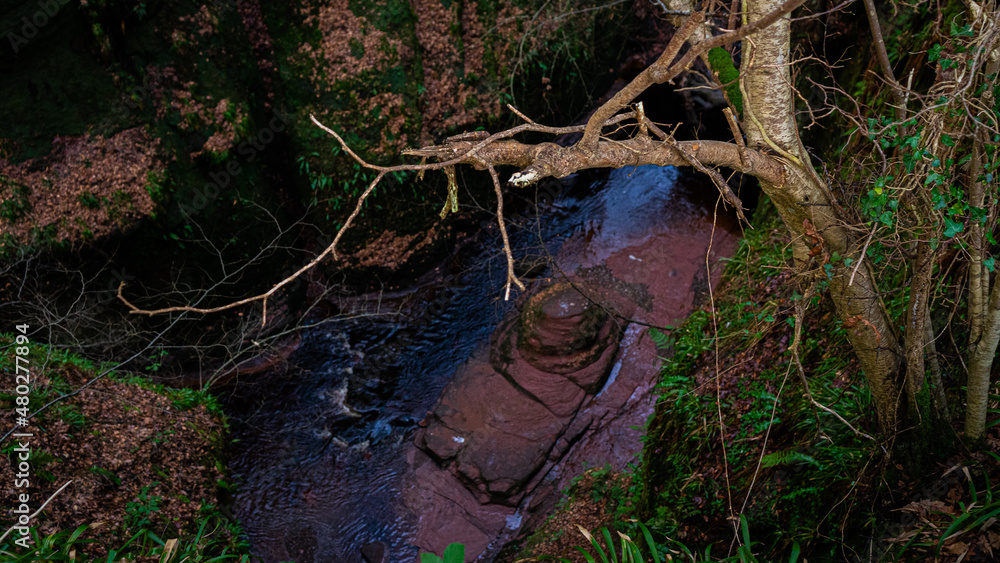 Fototapeta premium The Devils Pull Pit - The Finnich Glen