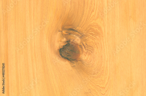 Dark wood texture background surface with old natural pattern