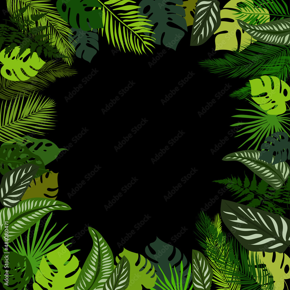 Tropical leaves summer frame, tropical palm leaves background wallpaper, tropical leaves on black background. Illustration for different design.Vector graphics