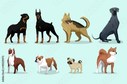 set of dogs