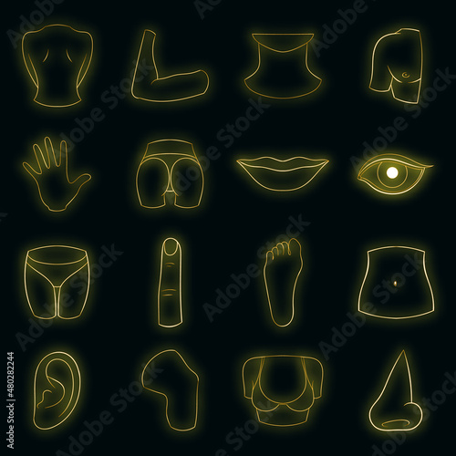 Body parts icons set. Illustration of 16 body parts vector icons neon color on black