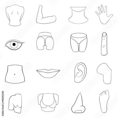 Body parts set icons in outline style isolated on white background