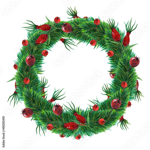 Festive watercolor wreath for Christmas or New Year. Hand drawn illustration isolated on white background. Round garland of branches of spruce, pine, fir, decorated with rose hips. Botanical clipart