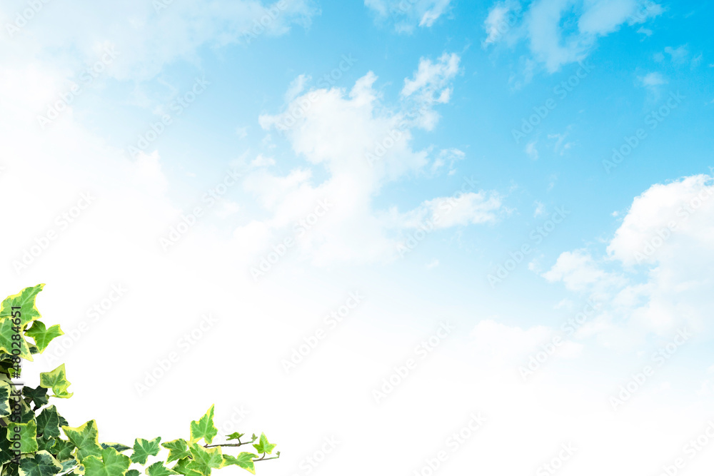 背景素材 背景素材