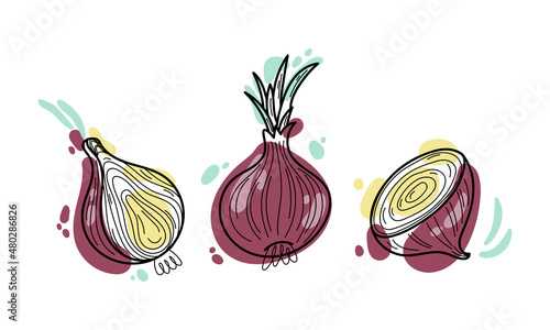 Vector set of 
juicy onion doodle illustration, colored shapes and line isolated on white background. Design elements for decor, menu icons and stickers. 