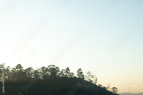 silhouette of trees in the mountains