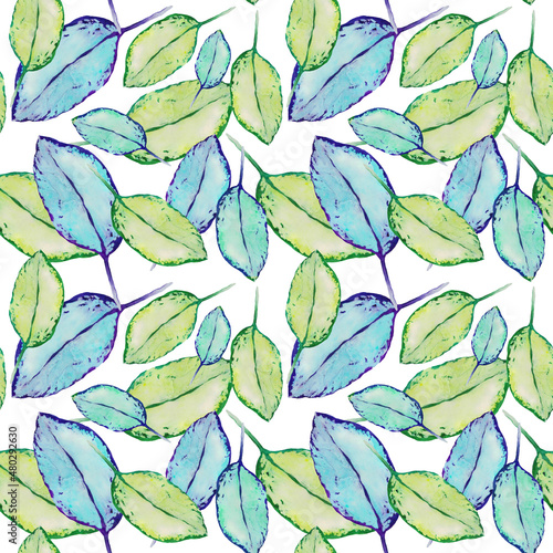 Leaves of a houseplant pattern. Watercolor botanical drawing . Blue and green . Blank for printed products   packaging   textiles .