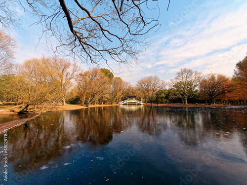 Beautiful landscape of winter forest and lake in Shanghai Gongqing forest park.