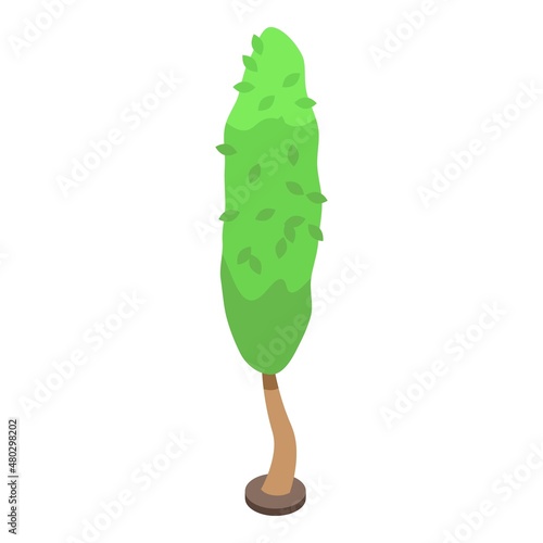 Strong tree icon isometric vector. Garden trim. Plant lawn