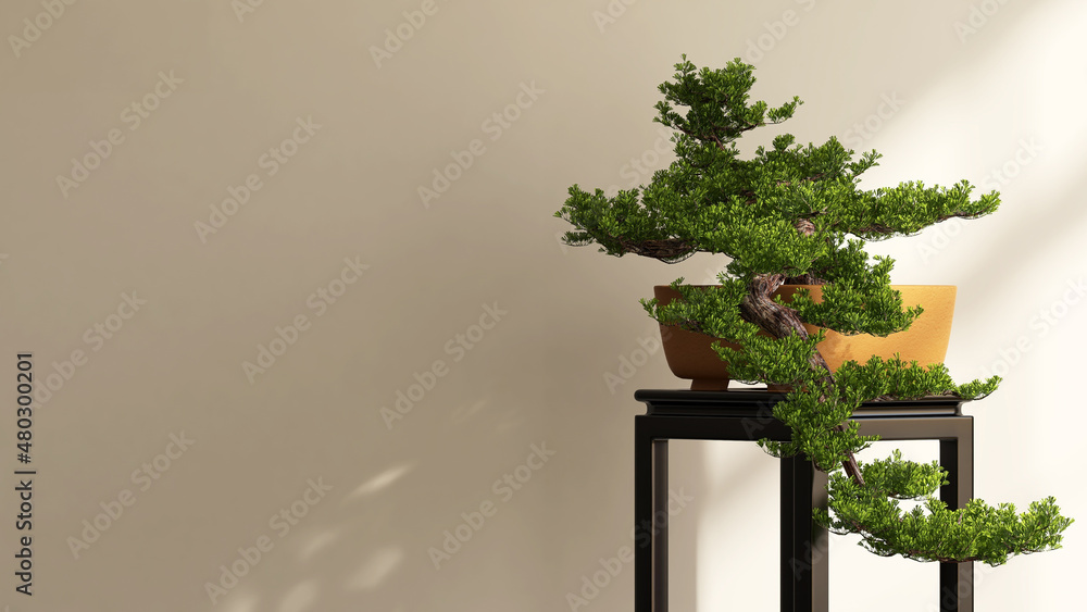Fototapeta premium 3D render of beautiful shape Japanese bonsai tree in brown yellow square clay pot on wood high stool by window in the room with morning sunlight blank beige wall background.