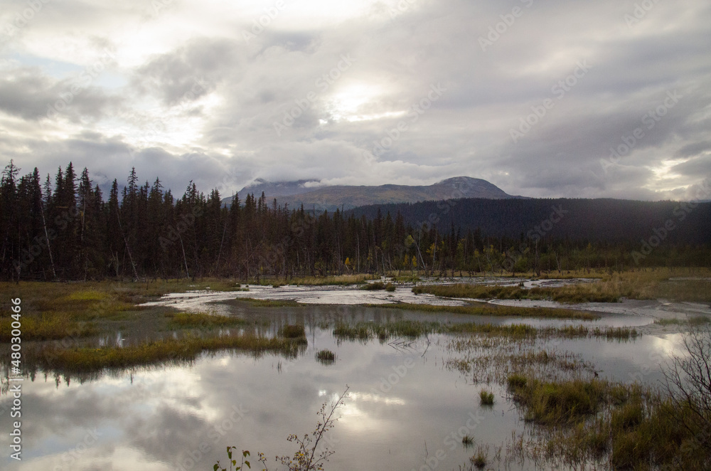 Alaska pond in summer