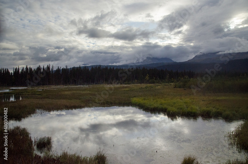 Alaska lake in summer