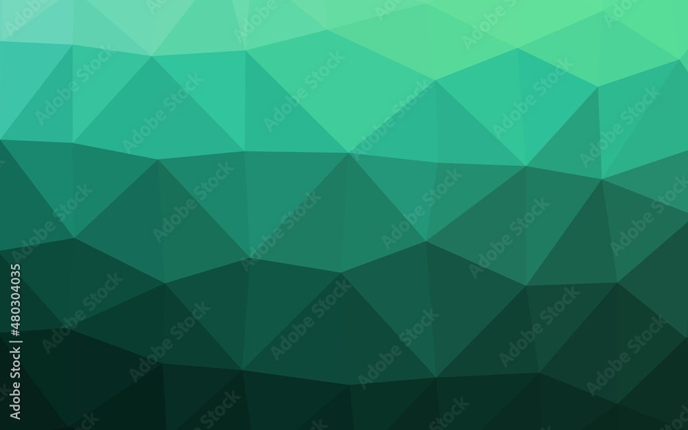 Light Green vector polygonal background. Light Green vector polygonal background.