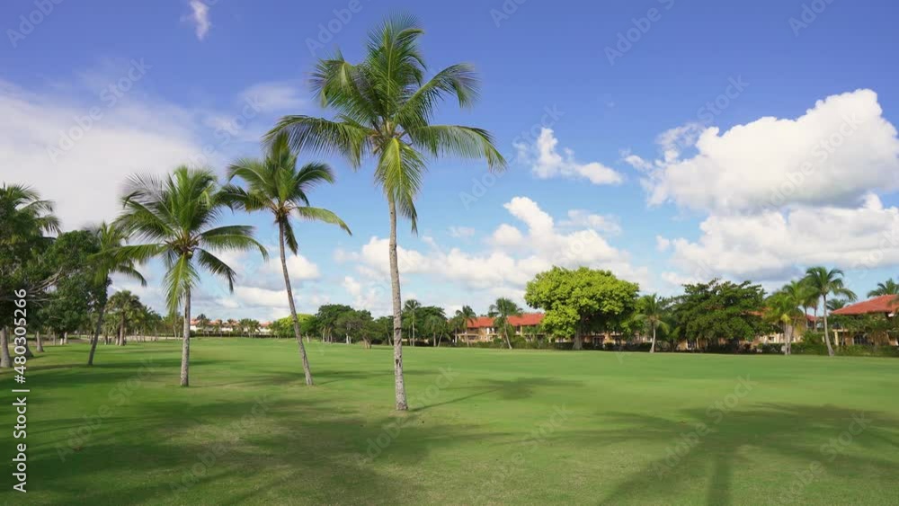 Tropical trees in a summer park in the Dominican Republic. Lawn with green grass for active outdoor games. Bright blue sky with clouds on a sunny morning. Tropical trees in a summer park in the Dominican Republic. Lawn with green grass for active outdoor games. Bright blue sky with clouds on a sunny morning.