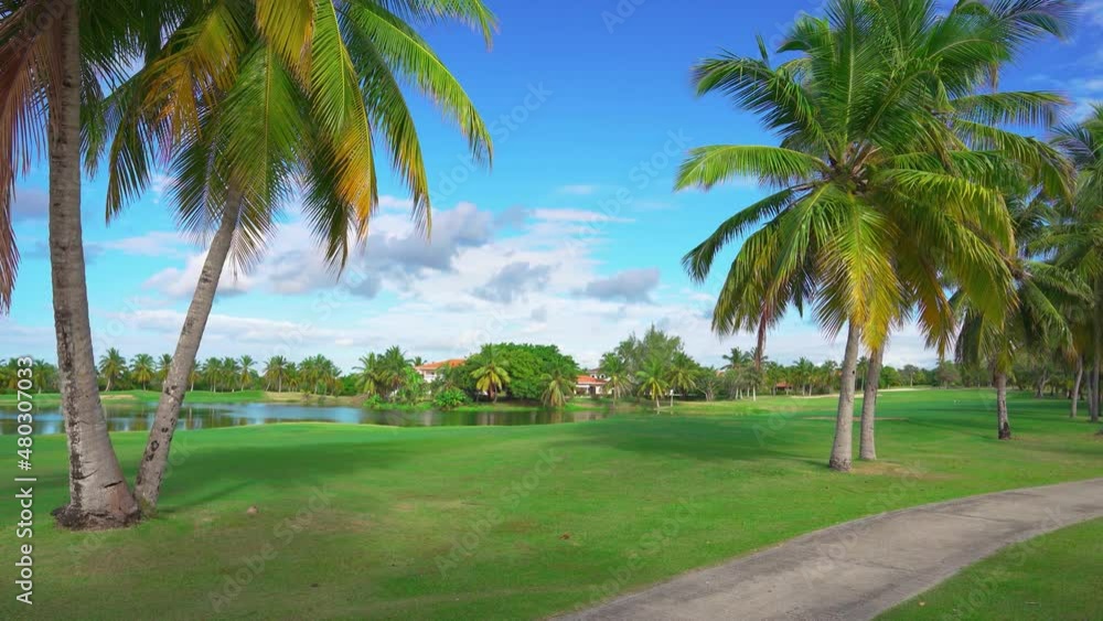 Sunny summer in a beautiful tropical palm park in the Dominican Republic. Green short cut grass and a blue lake under a blue cloudy sky. Territory for outdoor activities and walks. Sunny summer in a beautiful tropical palm park in the Dominican Republic. Green short cut grass and a blue lake under a blue cloudy sky. Territory for outdoor activities and walks.