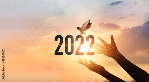 .Hands touching of new year 2022 silhouette with flying of free bird enjoying nature on sunset background, Happy New Year concept.