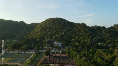 Wallpaper Mural Aerial steady footage of the Hokkaido Flower Park in Khao Yai as vehicles move on the road in Pak Chong, Thailand. Torontodigital.ca