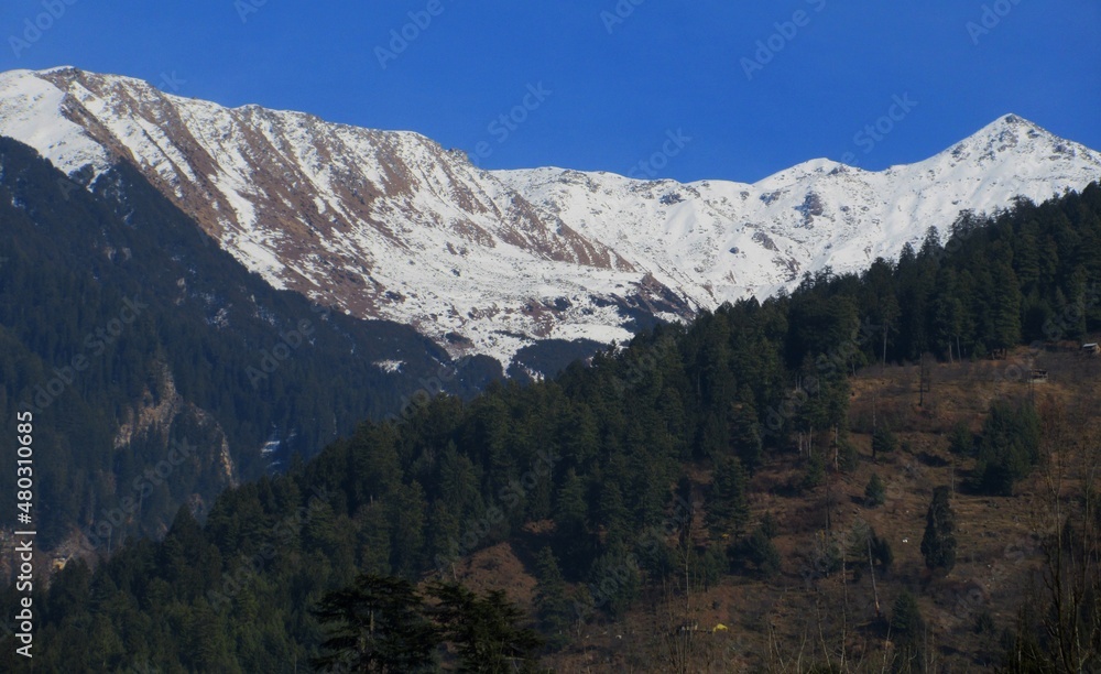 Dark blue Sky with snow-covered mountains and tall trees in Himachal Pradesh India