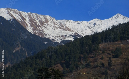 Dark blue Sky with snow-covered mountains and tall trees in Himachal Pradesh India