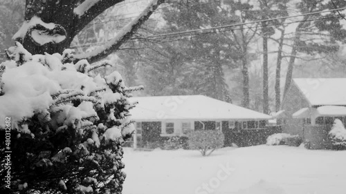 Wallpaper Mural Extreme slow motion of heavy snowflakes falling in Black and white. Torontodigital.ca