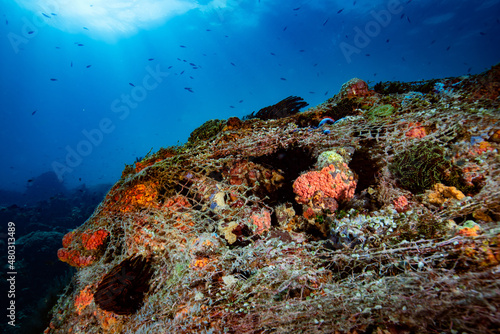 фотографія Abandoned ghost net Philippines Coral Reefs