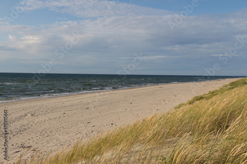 Sea  sand dune and ears of corn  Curonian Spit  Kaliningrad Oblast  Russia.