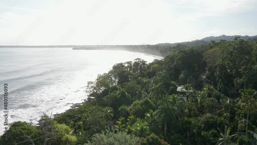 AERIAL - rural buildings sit in green jungle along coastline AERIAL - rural buildings sit in green jungle along coastline