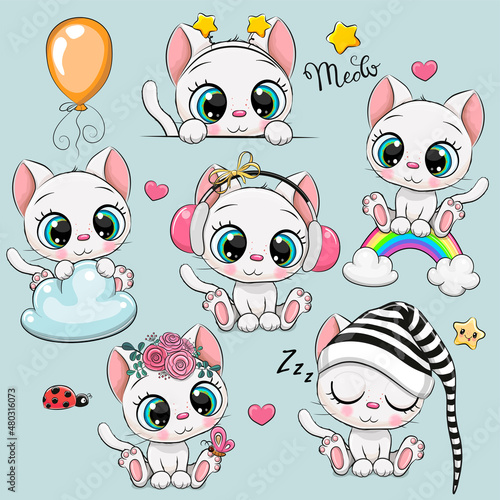 White Kittens isolated on a white background