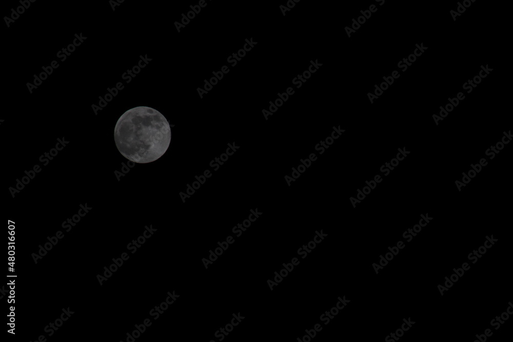 Obraz premium full moon