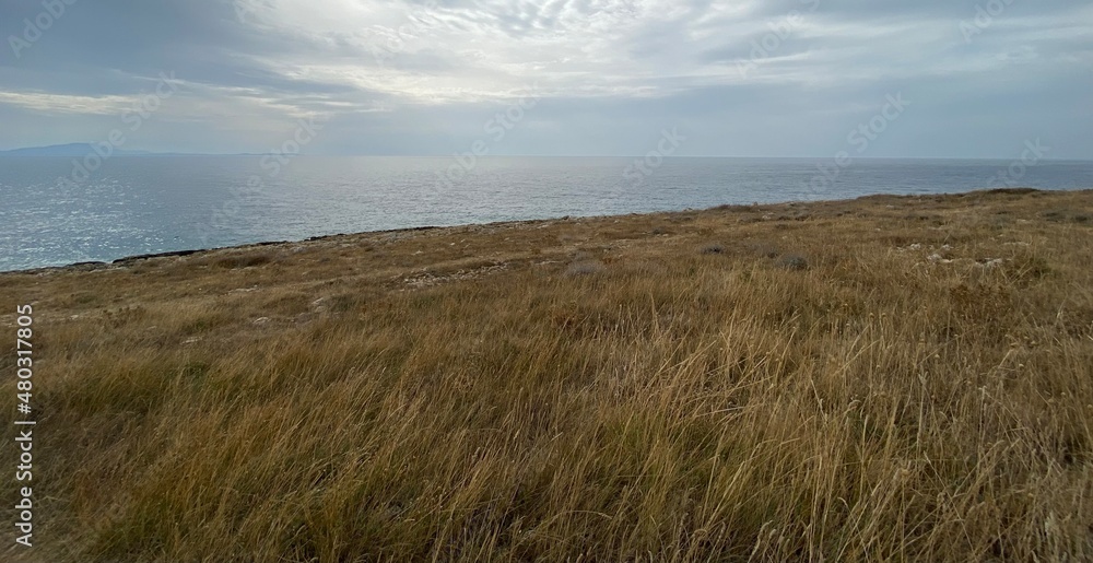 Medulin Kap Marlera Istrien Kroatien Medulin Kap Marlera Istrien Kroatien