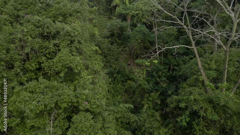 Drone leaving the thick costal rainforest of Costa Rica with fast tempo. Aerial dolly out movement revealing the true size of the lush coast line where a young man stands. Drone leaving the thick costal rainforest of Costa Rica with fast tempo. Aerial dolly out movement revealing the true size of the lush coast line where a young man stands.