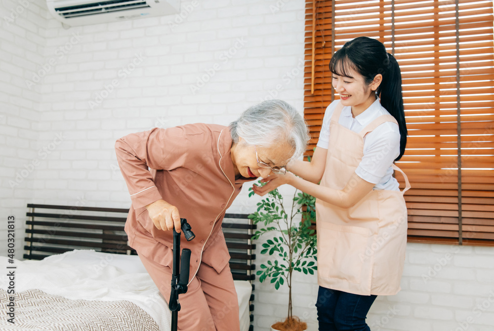 Fototapeta premium 笑顔の高齢者女性と介護士の女性（訪問介護・在宅介護）