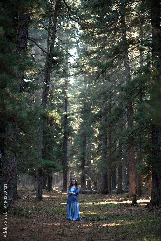 Obraz premium a girl is joking in a cedar forest, a story about a forest elf