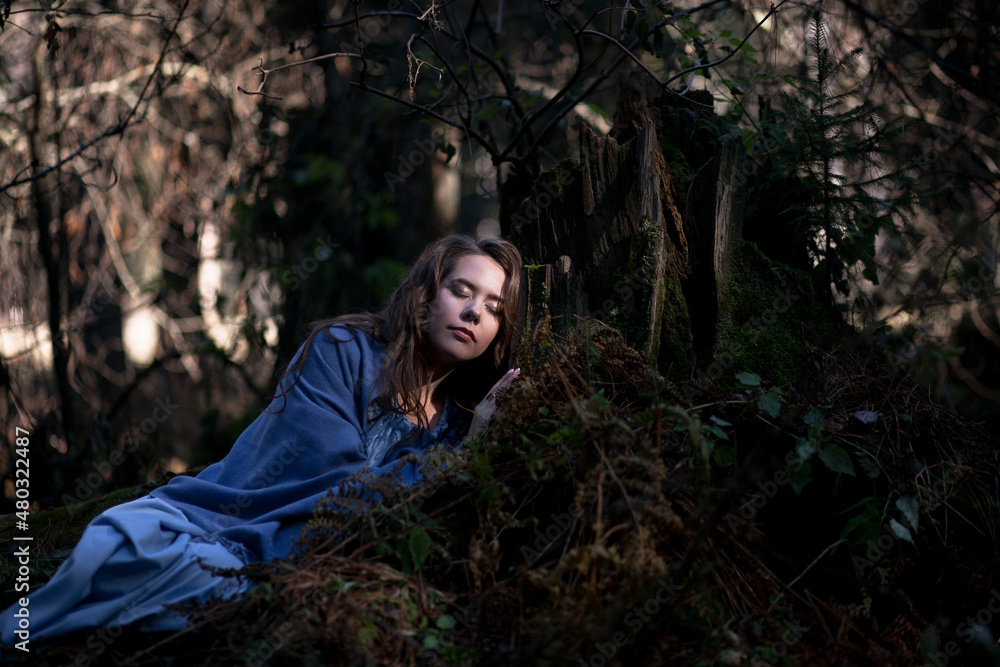 a girl is joking in a cedar forest, a story about a forest elf a girl is joking in a cedar forest, a story about a forest elf