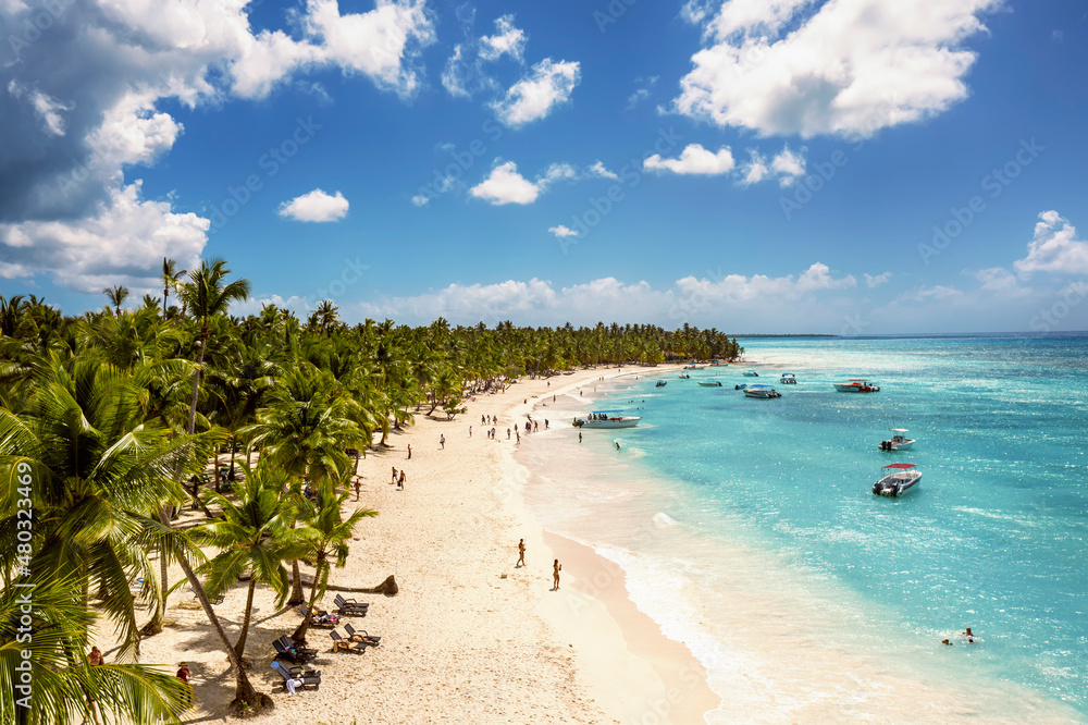 Tropical carribbean beach