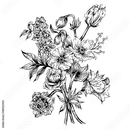 hand drawn illustration of flower bouquet in engraved style, isolated on white background