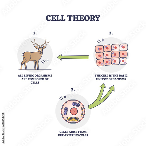 Cell theory for evolution and pre existing cells development outline diagram