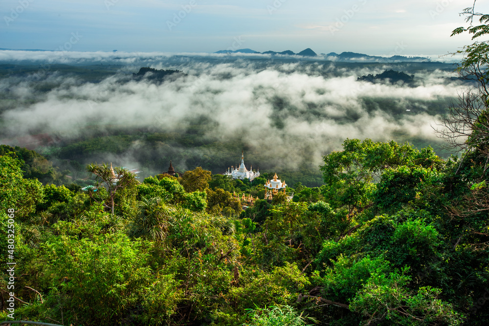 The foggy mountain-like backdrop, colorful morning sunshine, beautiful natural scenery during the trip, trees and good weather.